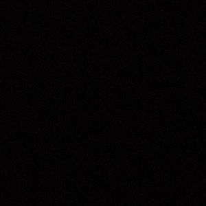 Meet your Posher, Donavin